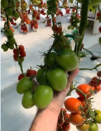 8369