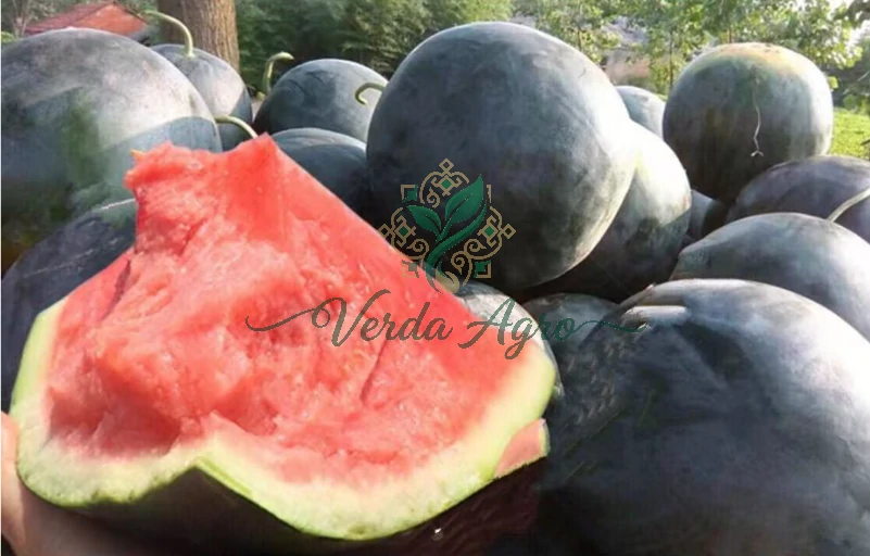 Dior Seedless