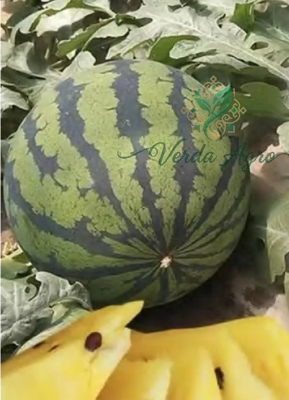 Agro 4