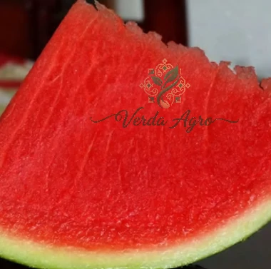 Rog Seedless 01